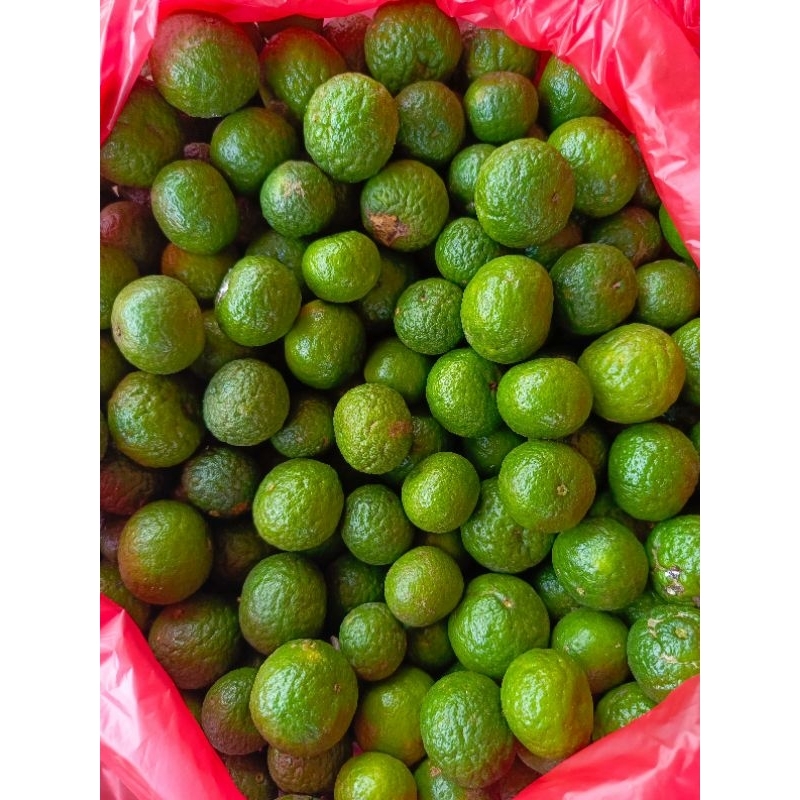 Jual Jeruk Limo / limau 1 kg | Shopee Indonesia