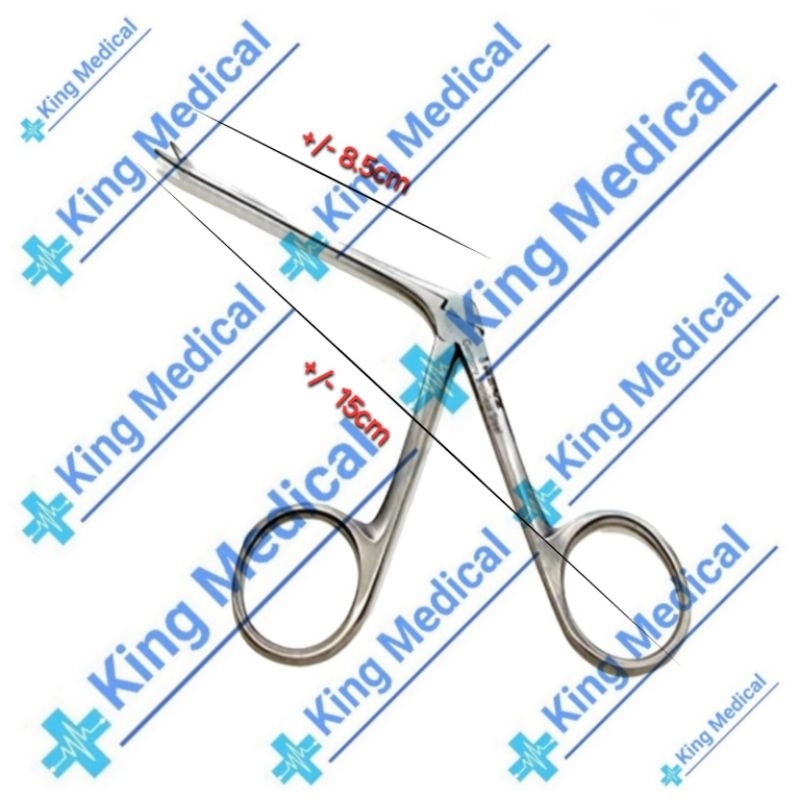 Jual Micro Aligator THT Forcep Merek Renz 15cm | Shopee Indonesia