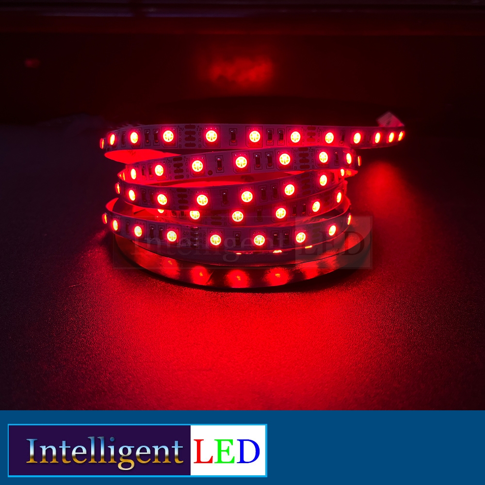 Jual LED RGB Strip 5050 60 LED DC 12v 5m/roll | Shopee Indonesia