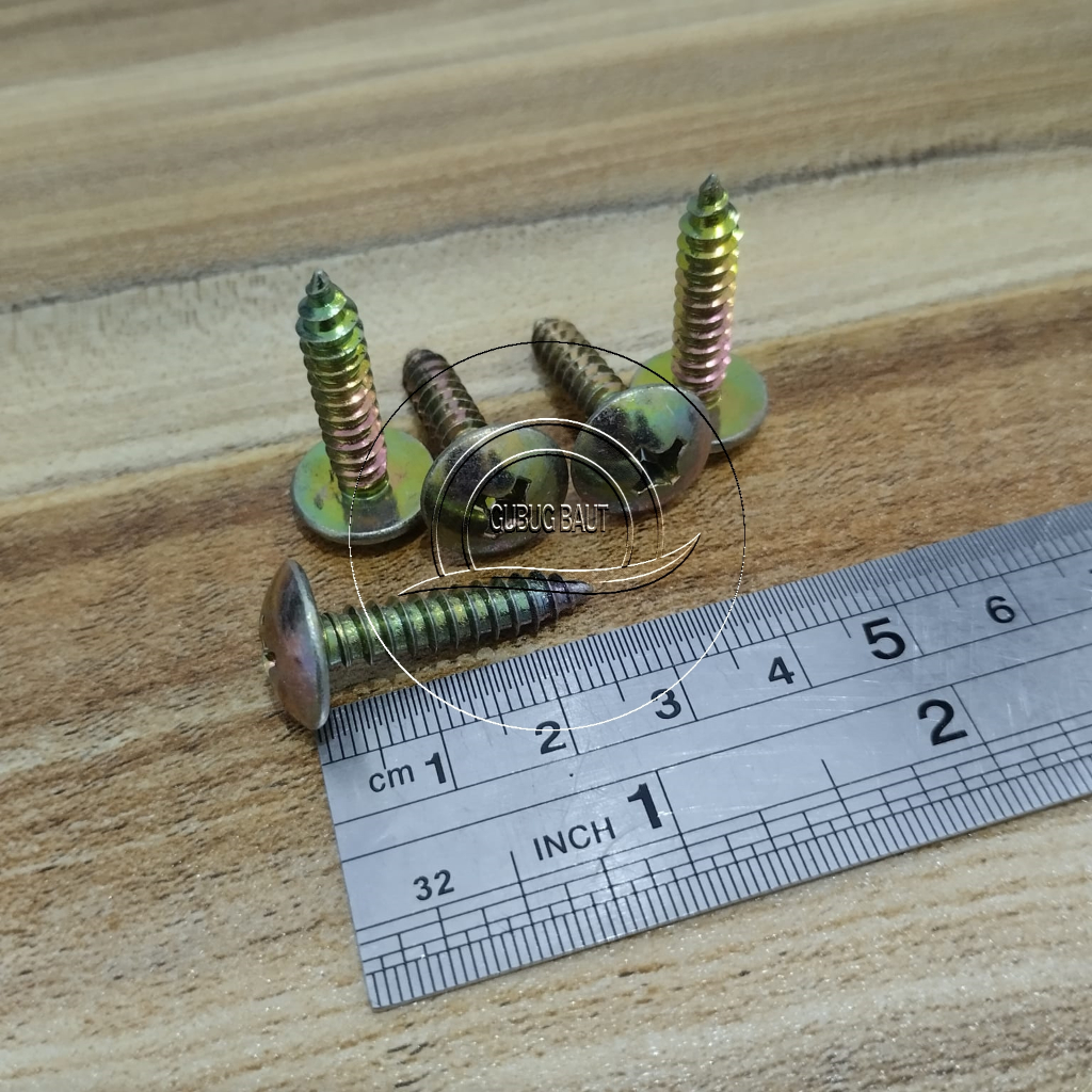 Jual SEKRUP TS JT PANJANG 2,5 CM 2,5CM 12X1 SKRUP 12 X 1 IN TAB TSAB ...