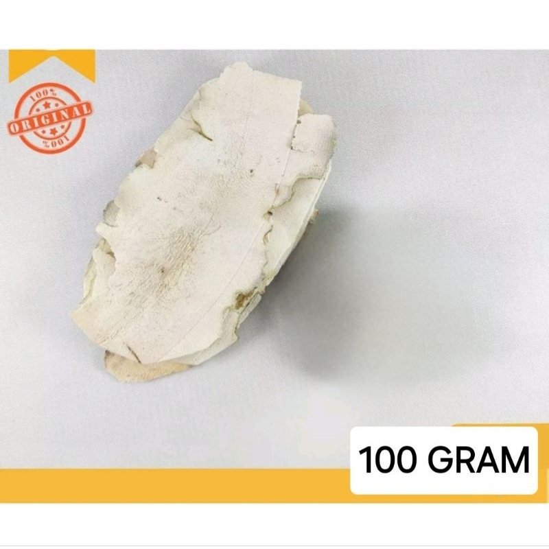 100 Gram TuFuLing / Tu Fu Ling / China Root / Sarsaparilla Cina / Smilax glabra / Qi Tu Fu Ling