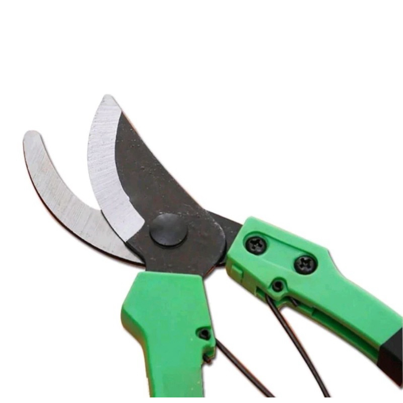 Jual Gunting Dahan/Gunting Kebun/Gunting Ranting/Gunting Tanaman Trendi ...