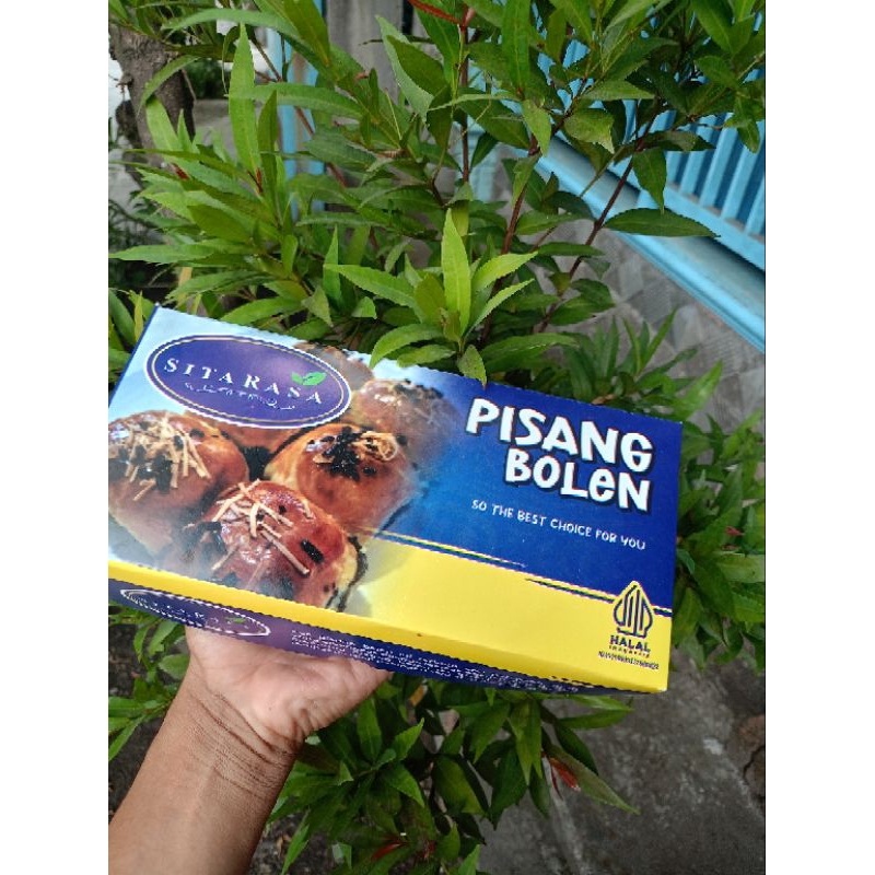 Jual SITA RASA bolen pisang isi 10 | Shopee Indonesia