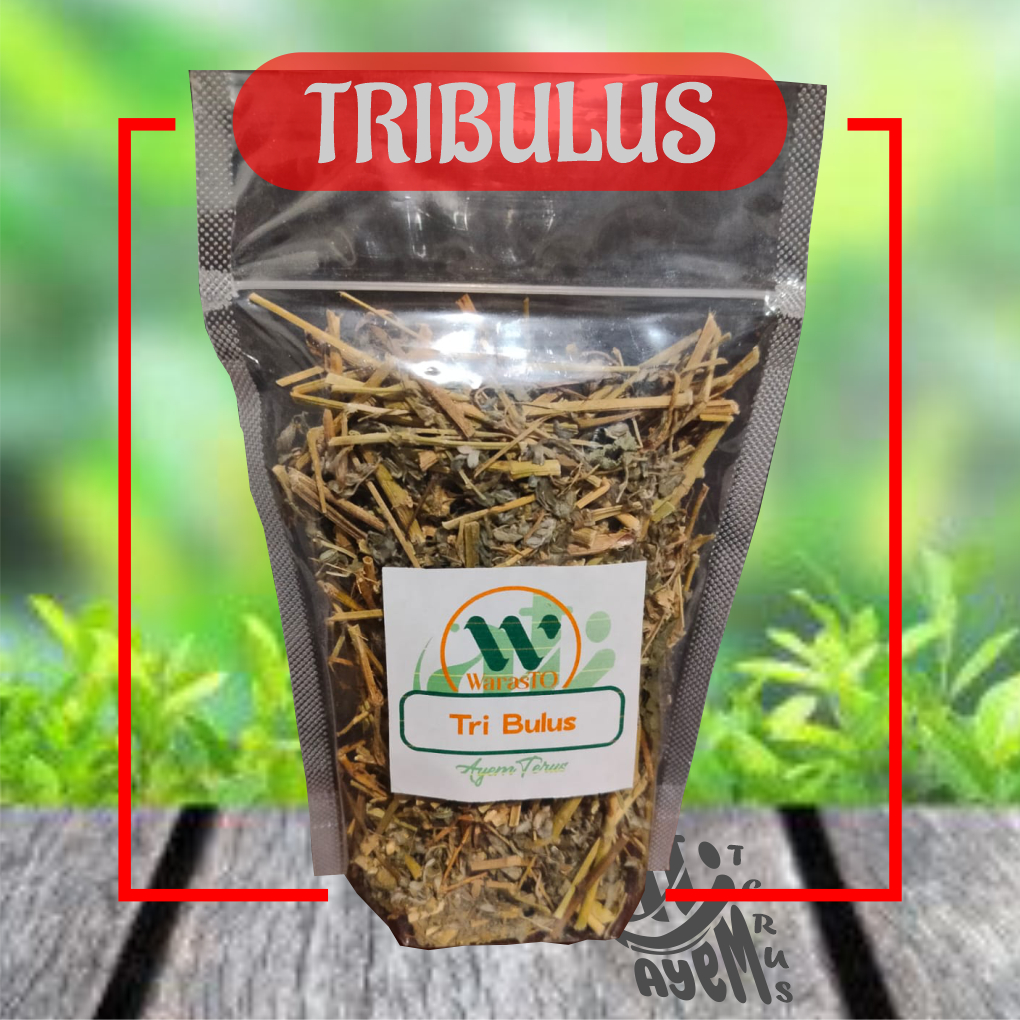 Jual Tribulus (Bahan Jamu Kering) | Shopee Indonesia