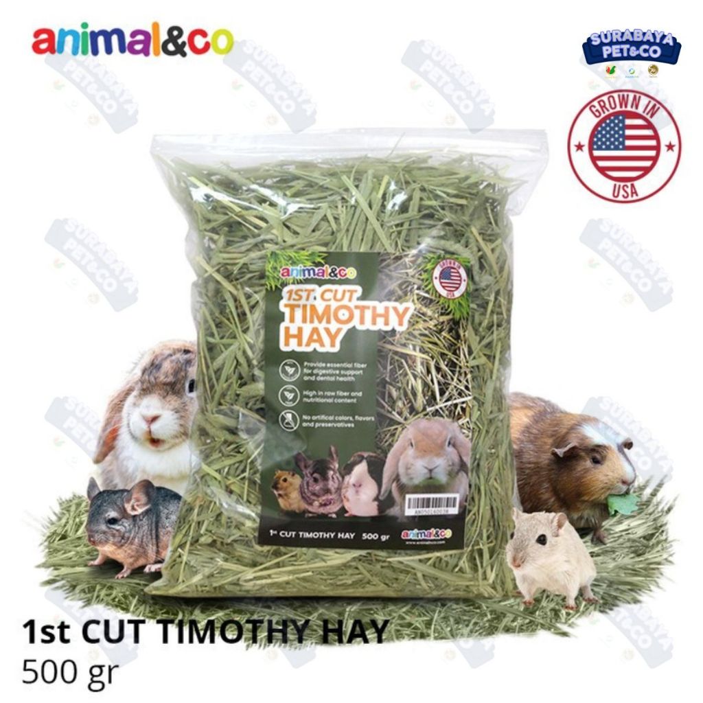 Jual Animal & Co Timothy Hay 500gr | Shopee Indonesia