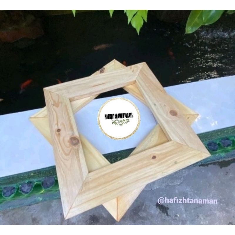 Jual Frame platycerium 50x50 Cm Frame Simbar / Bingkai Platy / Drainase ...