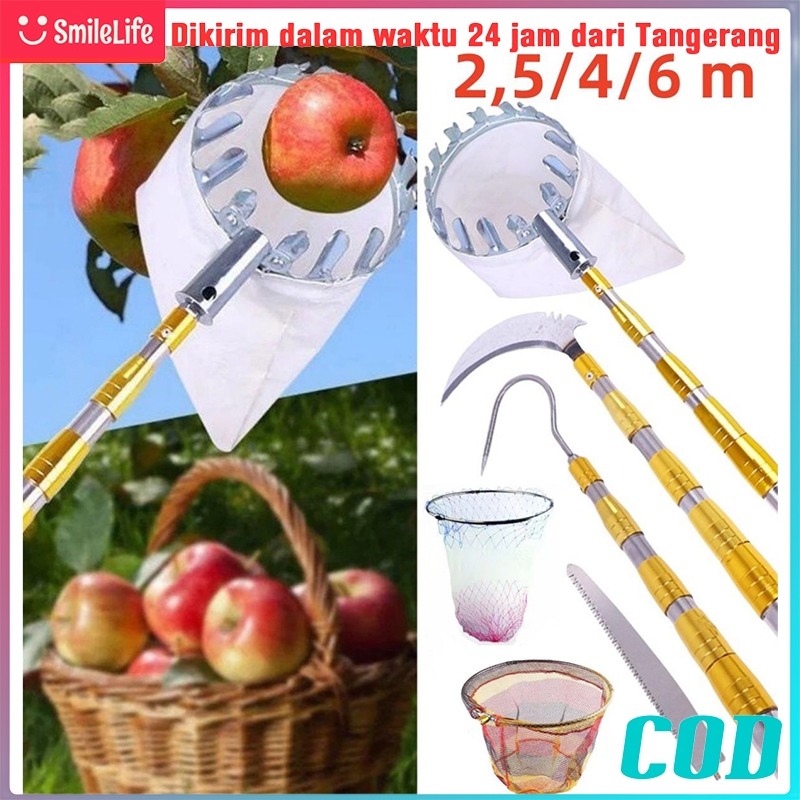 Jual Pemetik Buah nyaman cepat Pemetik Buah ketinggian tinggi gunting ...