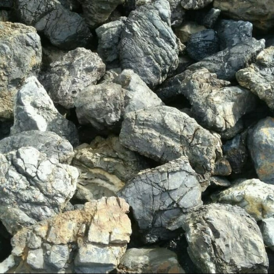 Jual BATU TURLY 1KG BATU TURLY HIASAN AQUARIUM AQUASCAPE | Shopee Indonesia