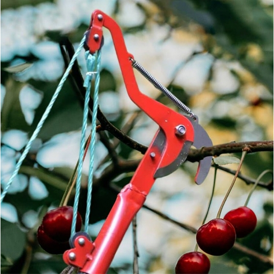Jual Indoboss | Gunting Dahan Pohon | Tree Pruner | Gergaji Tarik ...