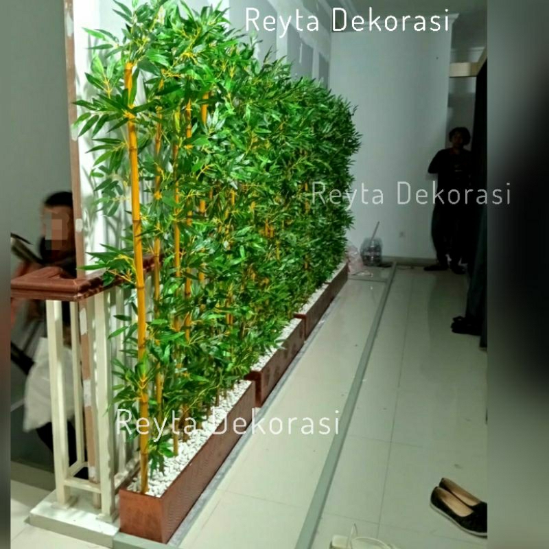 Jual Pembatas Ruangan Bambu Partisi Tinggi 15mtr Pohon Hias Bambu