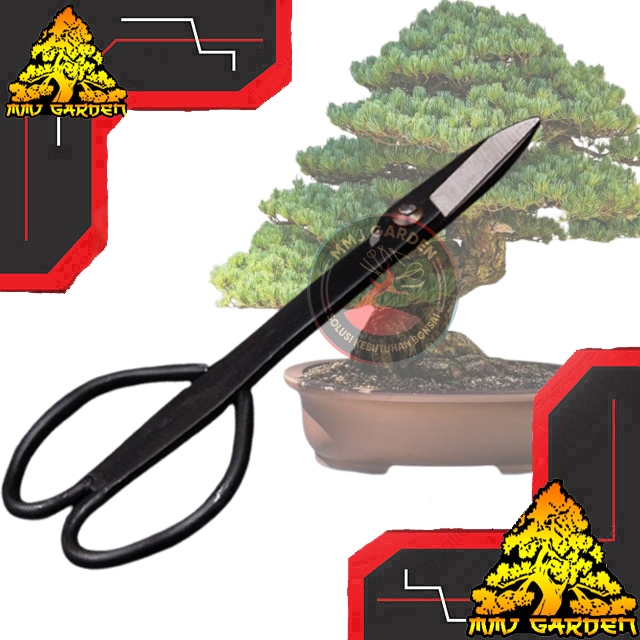 Jual MMJ GARDEN-GUNTING PRUNING CARBON OPP TANPA COVER | Shopee Indonesia