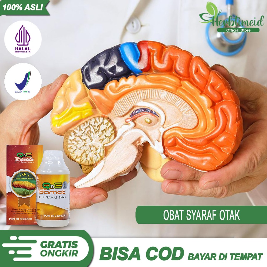Jual Obat Syaraf Otak Rusak Bermasalah Penyumbatan Darah Di Otak Kanker ...