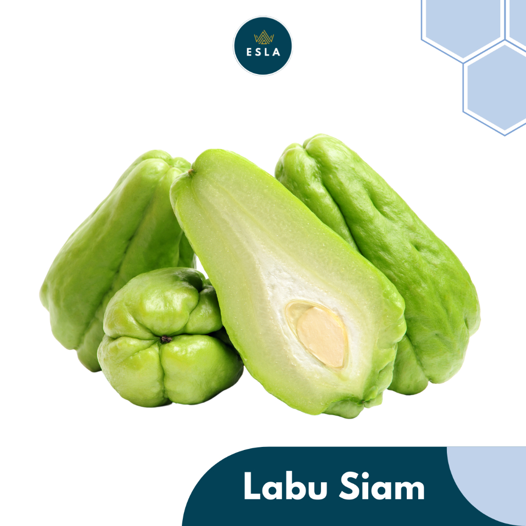 Jual LABU SIAM I Sayur Fresh dan Premium - ESLA | Shopee Indonesia