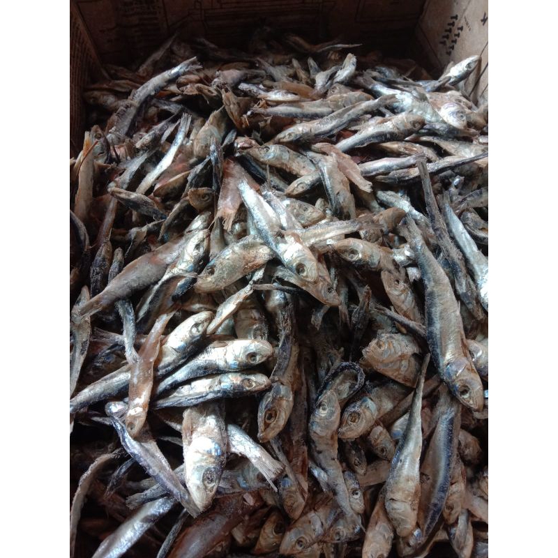 Jual ikan asin japuh kecil 250 gram khas cilacap | Shopee Indonesia