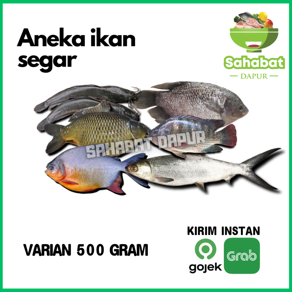 Jual Ikan Segar/Bandeng/Ikan Lele/Ikan Mas/Ikan Nila/Ikan …