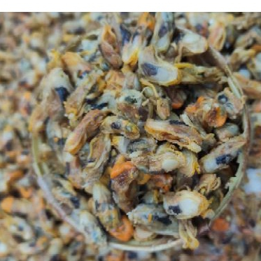 Jual Kerang Tude Kupas Cokelat pasar online makassar | Shopee Indonesia