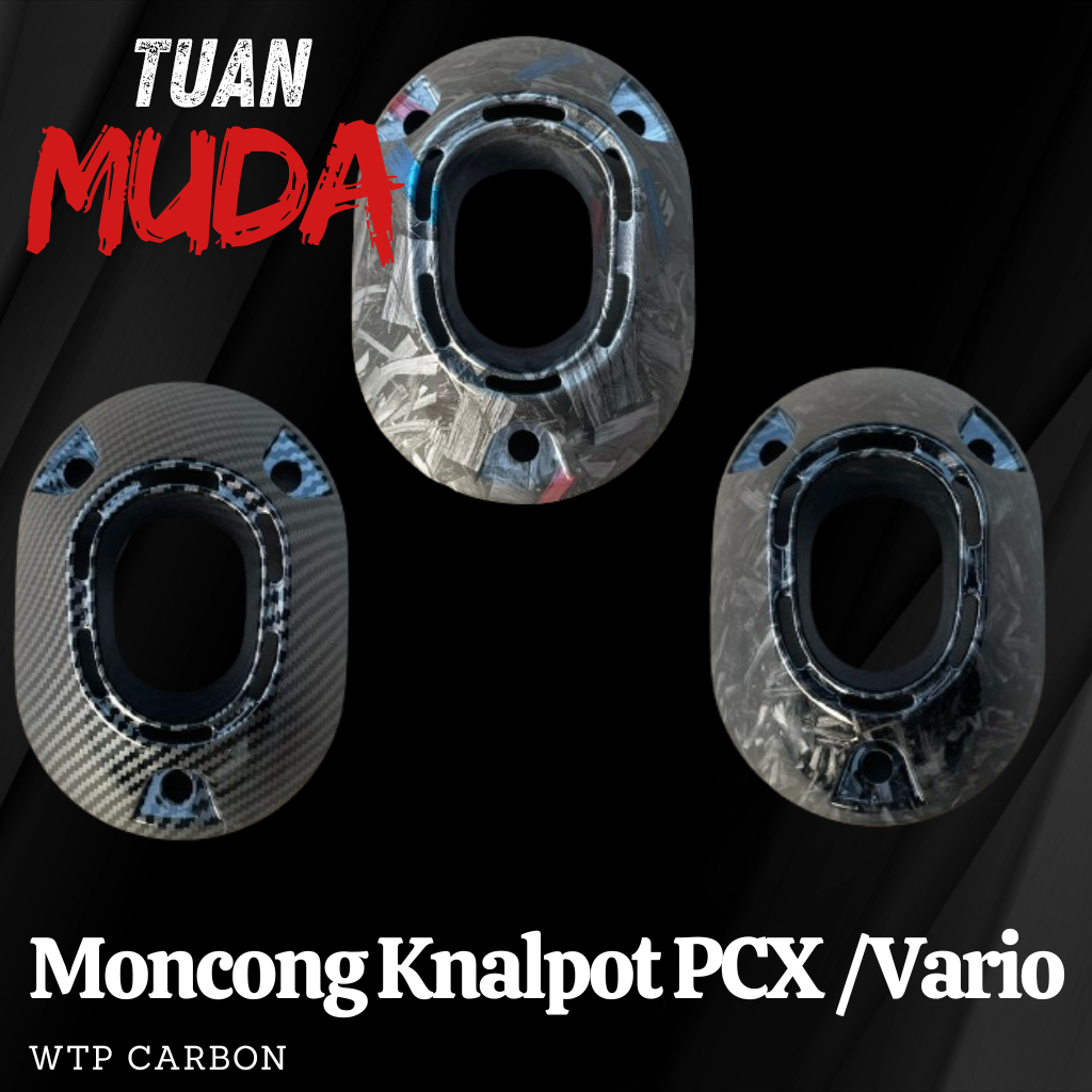 Jual Moncong knalpot pcx carbon cover knalpot pcx 160 vario 160 carbon ...