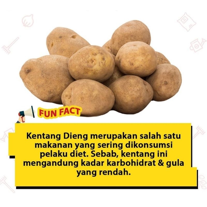 Jual PROMO KENTANG DIENG SUPER 1KG/KENTANG SEGAR PILIHAN/SAYURAN SEGAR ...
