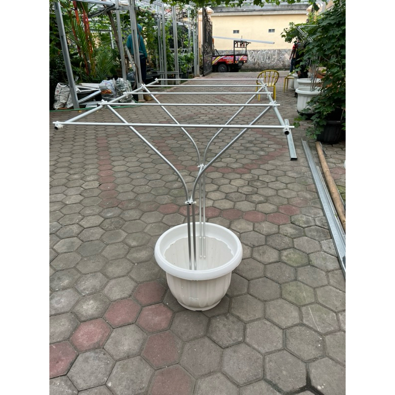 Jual TIANG RAMBATAN ANGGUR PARA-PARA TINGGI 120cm By TAMAN ANGGUR ...