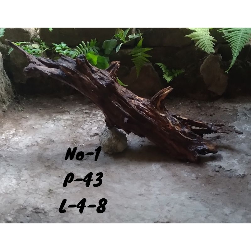 Jual kayu rentek aquascape | Shopee Indonesia