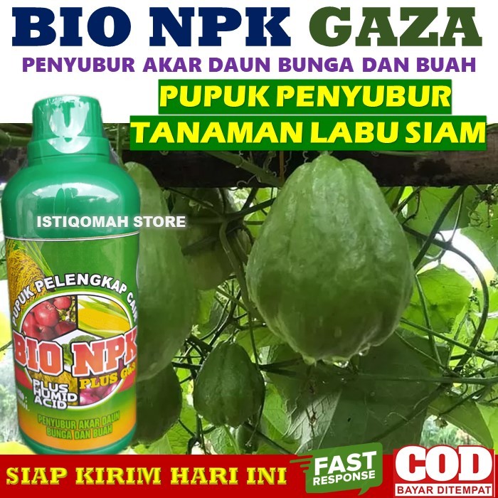 Jual Obat Pelebat Buah Labu Siam dan Penyubur Akar Daun Batang Buah ...