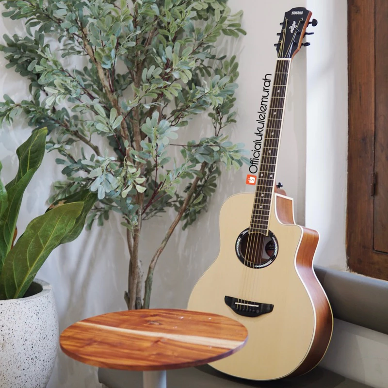 Paket Gitar Yamaha APX 500 II Custom