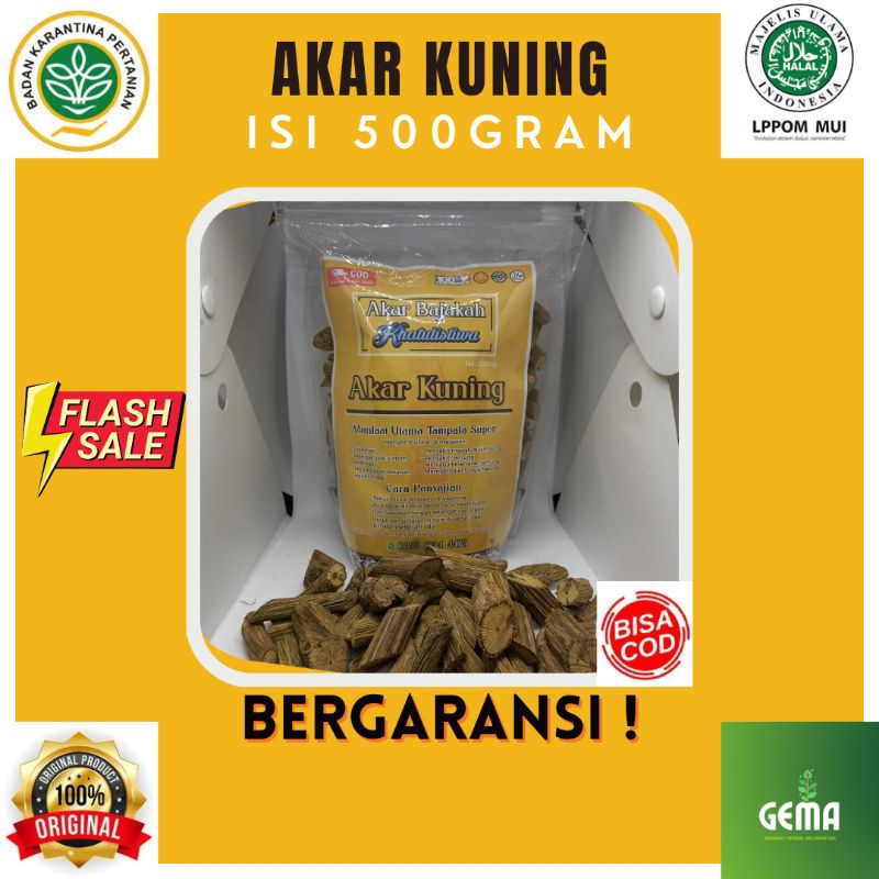Jual Akar Bajakah Kuning / Kayu Bajakah Kuning Grade A+ (Asli Dari ...