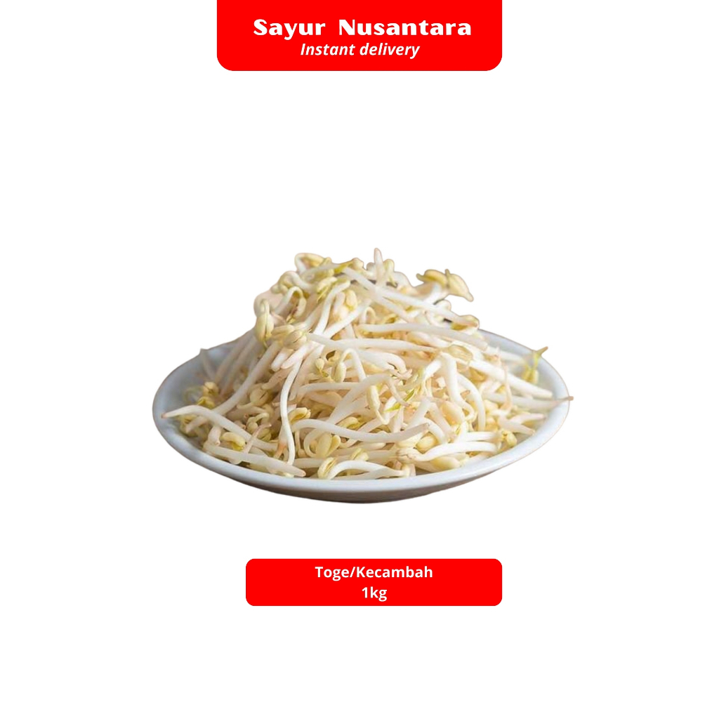 Jual Toge / Kecambah 1kg - Sayur Nusantara | Shopee Indonesia
