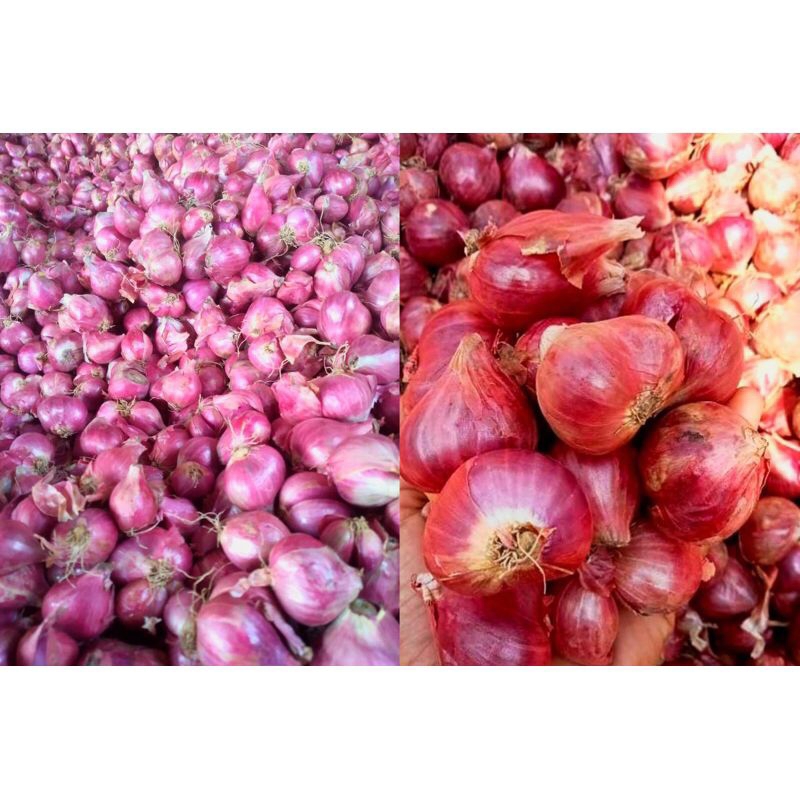 Jual Bawang Merah Super Asli Lokal 1 Kg Shopee Indonesia