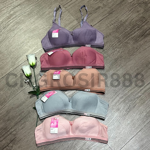 Jual Dan Pcs Bh Sport Bra Polos Dengan List Murah Tanpa Kawat Merk Liani Dan My Bra Bahan