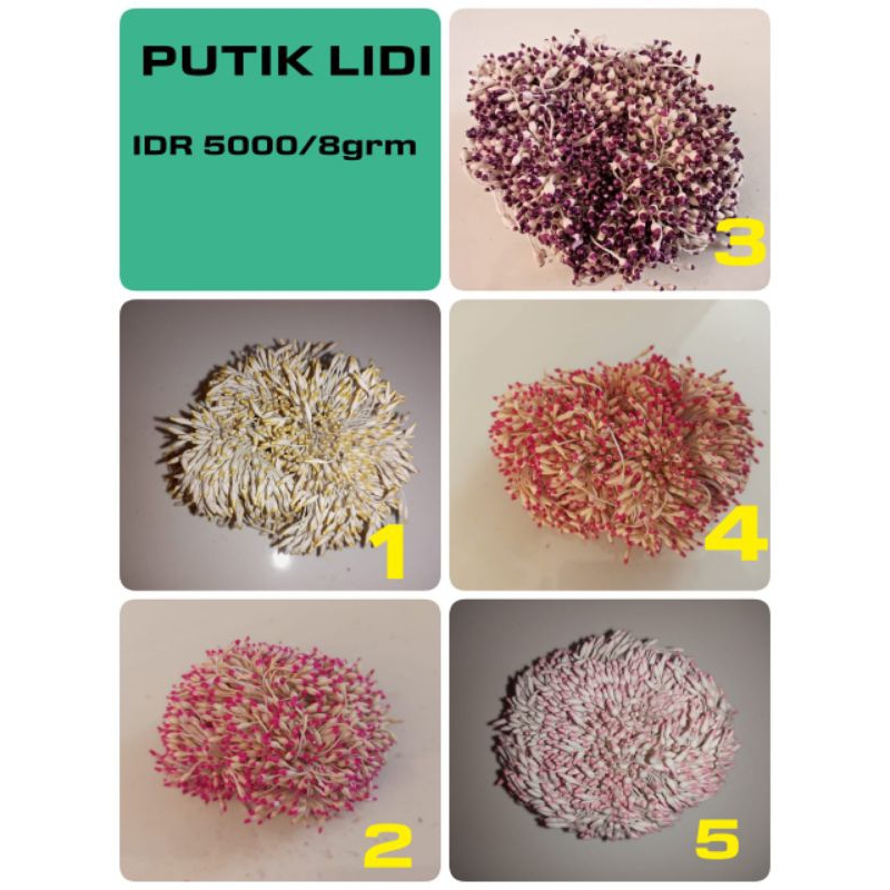 Jual putik lidi/ bahan kerajinan | Shopee Indonesia