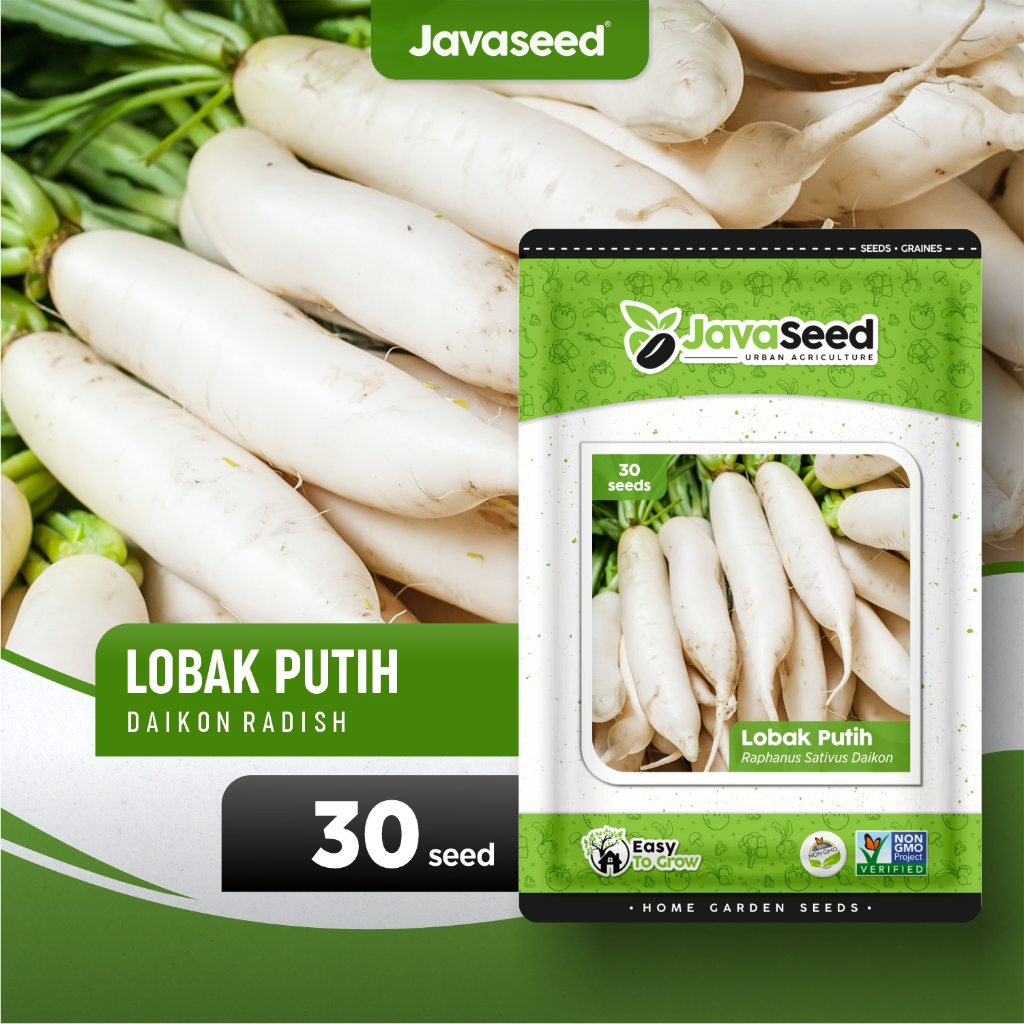 Jual Javaseed Benih Lobak Putih Chinese White Long Radish 30 Benih