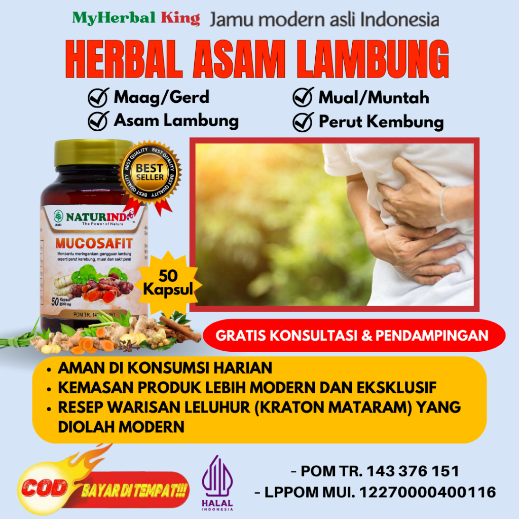 Jual Obat Herbal Asam Lambung Kronis Maag Magh Mag Shopee Indonesia