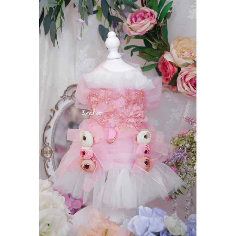 Jual NUTCRACKER harness Shopee Indonesia