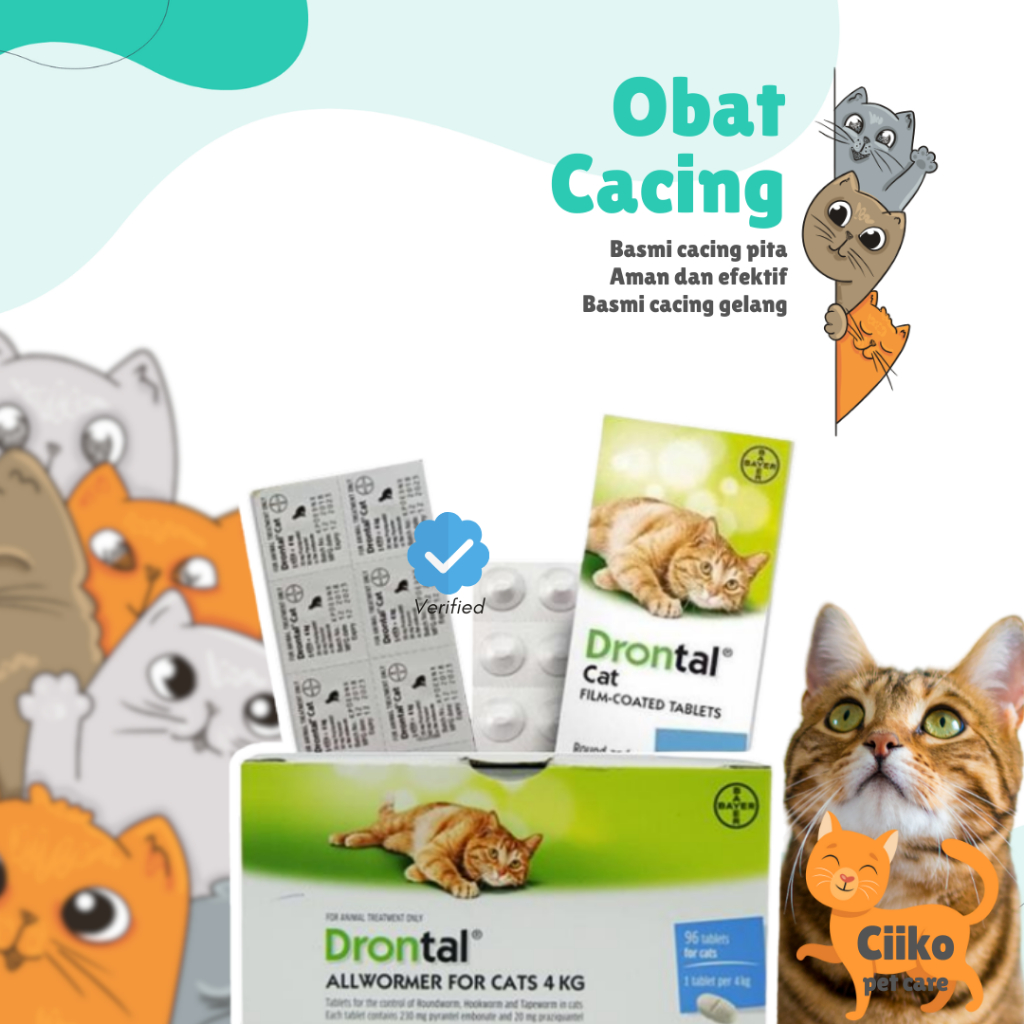 Jual DRONTAL CAT KUCING Obat Cacing Hewan Kucing Cat Kitten Shopee