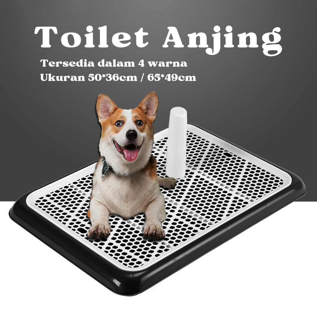 Jual Pet Toilet Anjing Dog Training Potty Pad Pee Poop Training Pad Tray Shopee Indonesia