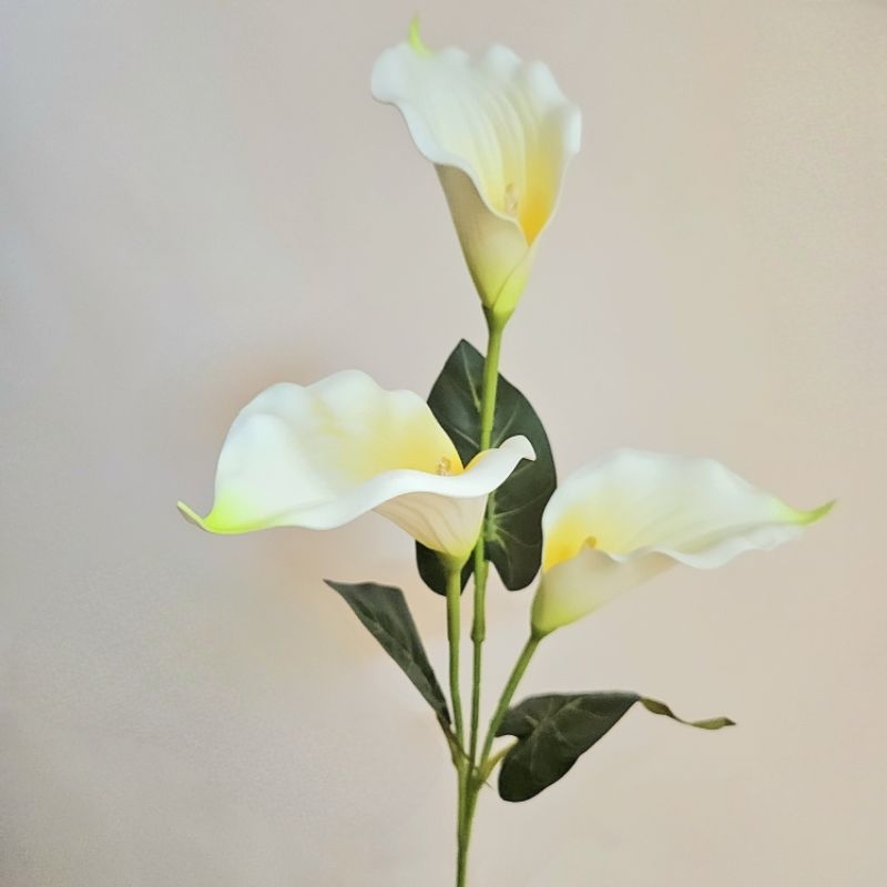 Jual Bunga Calla Lily LATEX Premium | Shopee Indonesia