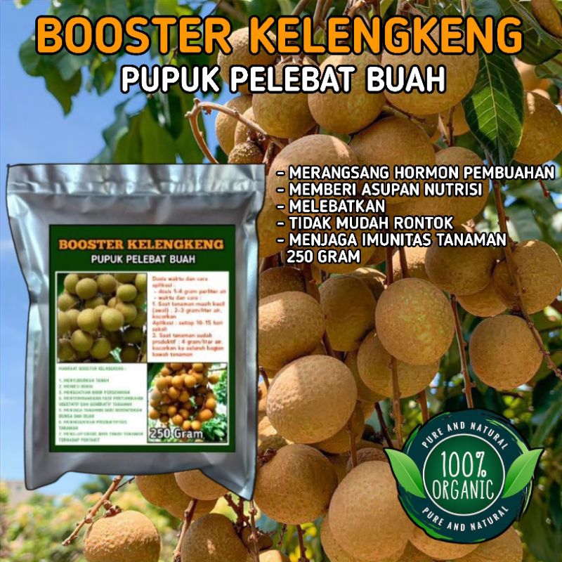 SUPER PROMO pupuk booster pelebat buah kelengkeng asupan nutrisi untuk buah termurah bisa cod kemasan 250 gram