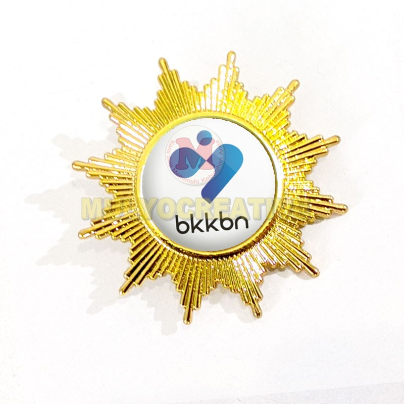 Jual Pin Bkkbn Pin Bros Wing Logo Bkkbn Shopee Indonesia