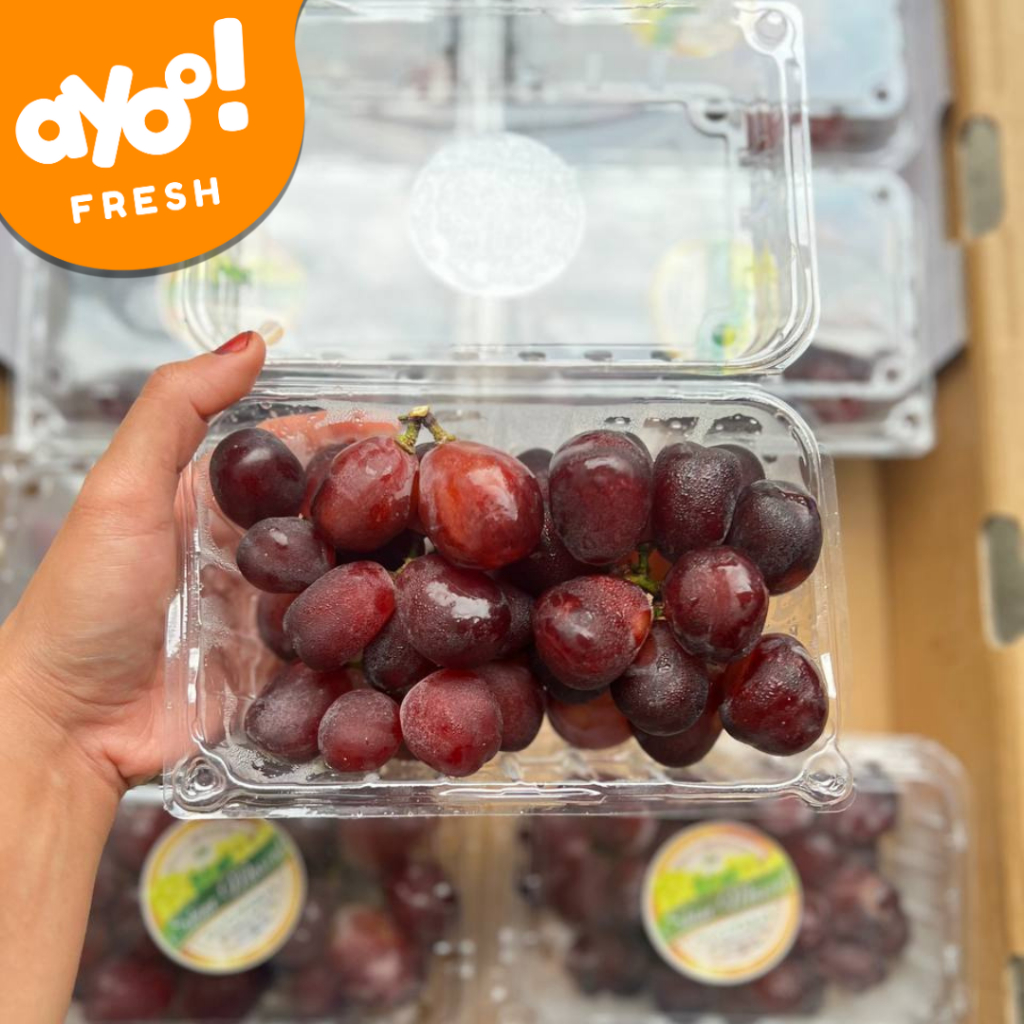 Jual Anggur Red Muscat (merah) 500 g Pack | Shopee Indonesia