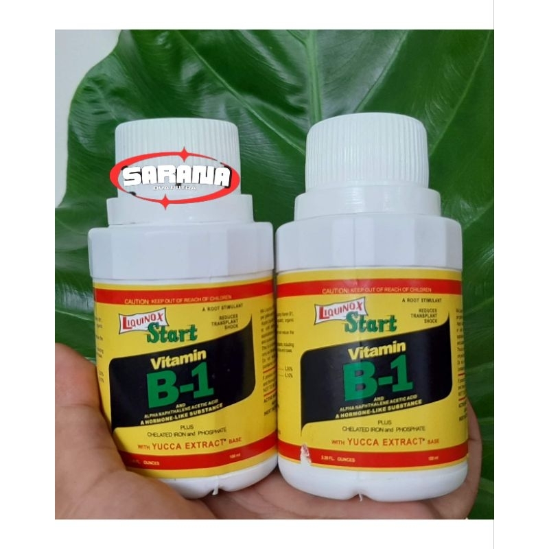 Jual Vitamin B1 Liquinox Start Perangsang Akar, Bunga, Bonsai Tanaman ...