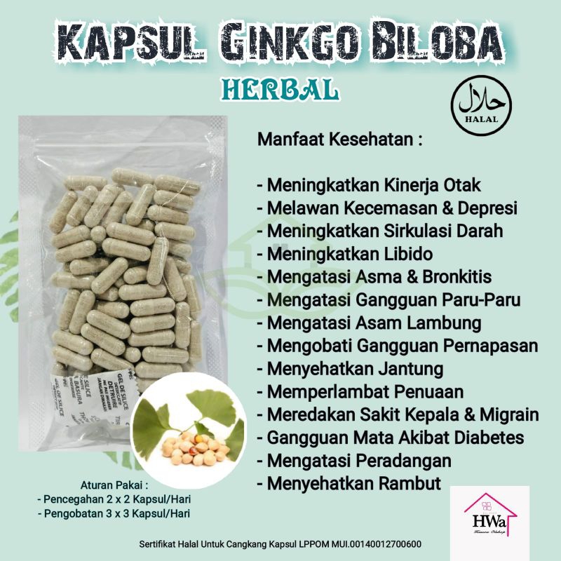 Jual Ginkgo Biloba Gingko Biloba Isi 100 Kapsul Curah Herbal Meningkatkan Kinerja Otak