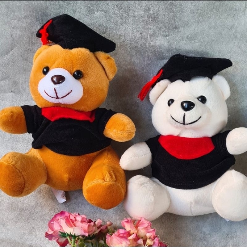 Jual Boneka Wisuda Besar / Boneka Graduation Big | Shopee Indonesia