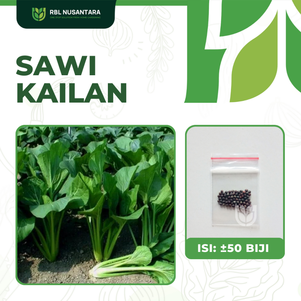 Jual Benih Sawi Kailan Full White Known You Seed Unggul Sayuran Rumahan Shopee Indonesia