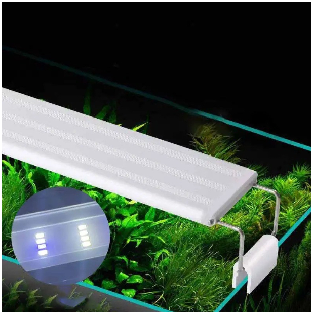 Jual Lampu LED Akuarium Mini/Aquarium Untuk Ikan Hias/Aquascape ...