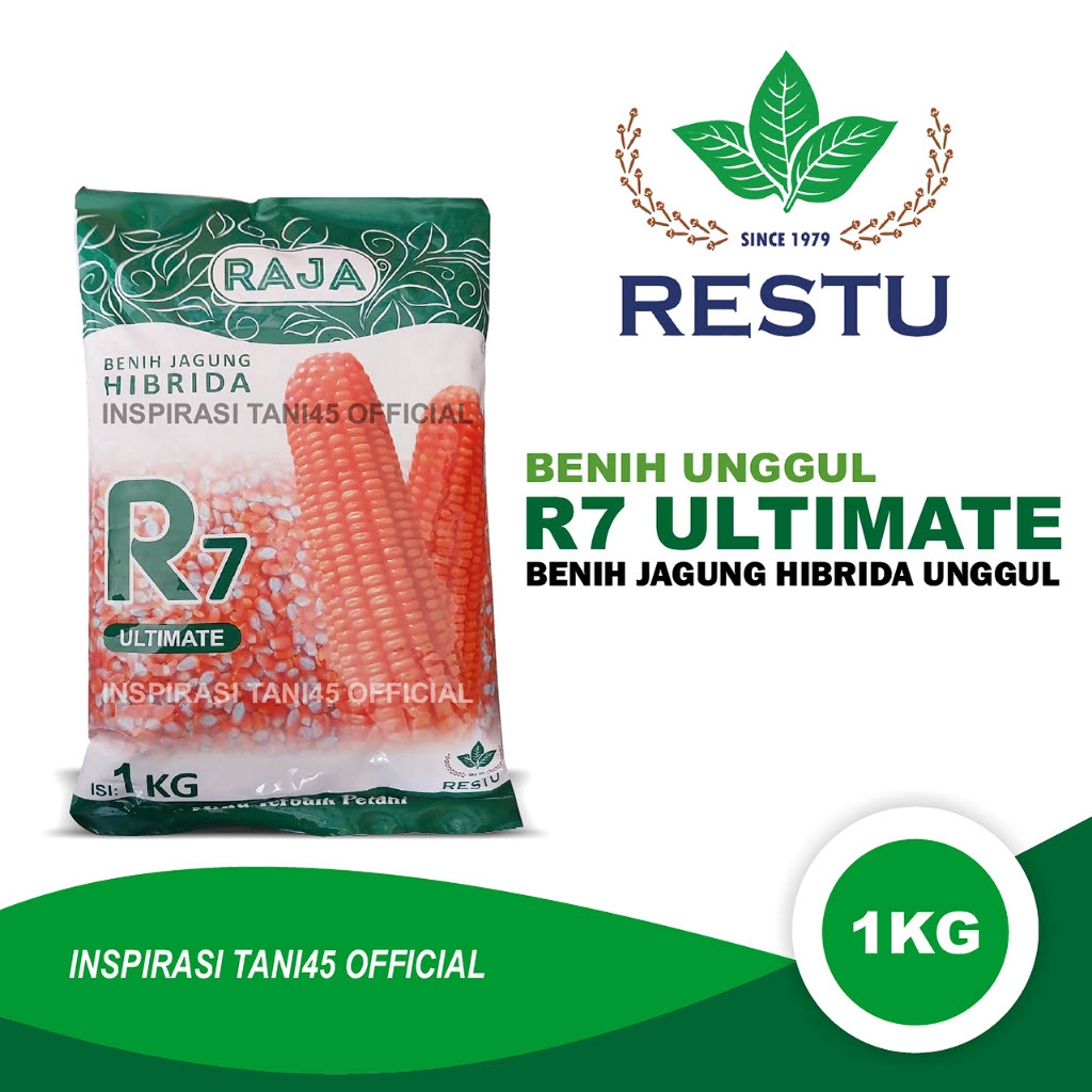 Jual Benih Jagung R7 Ulimate Raja 1kg/Benih Jagung Hibrida R7 Ultimate ...