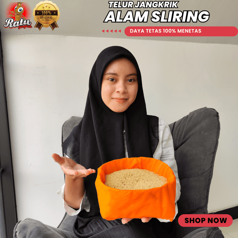 Jual harga telur jangkrik alam cliring kemasan 250 gram cocok untuk ...