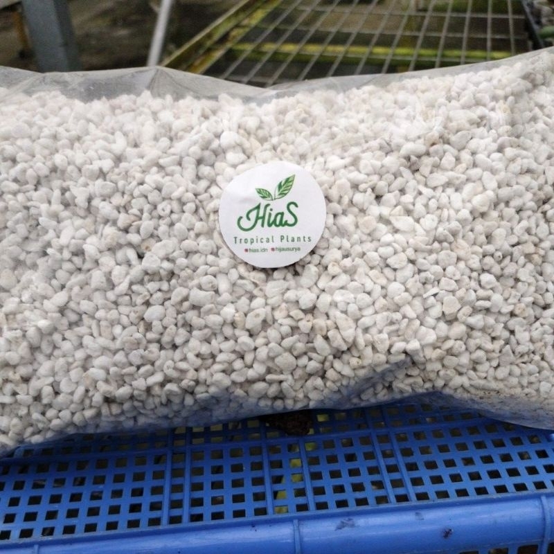 Jual Media Perlite | Shopee Indonesia