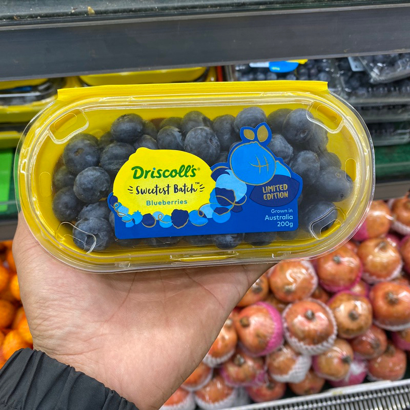 Jual Promo Blueberry fresh driscolls sweetest batch Blueberries ...