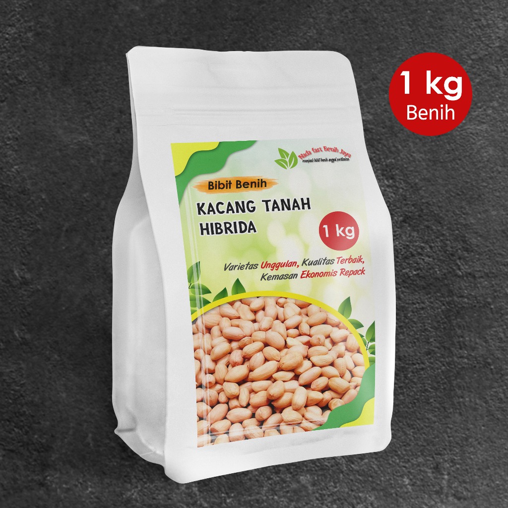 Jual Benih Kacang Tanah Hibrida Kg Benih Kacang Kacangan Super Bibit Kacang Tanah Shopee